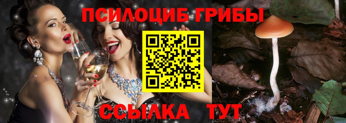 Мирный  Галлюциногенные грибы Psilocybe  Вход с VPN 